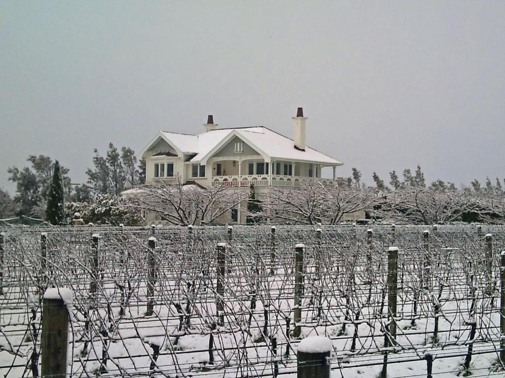 Maison d'hôtes Vynfields à Martinborough Extérieur photo
